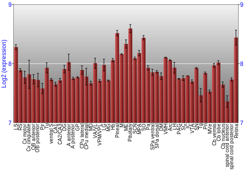 Expression graph