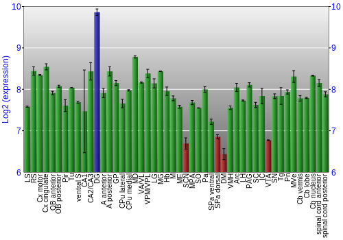 Multi-state expression graph