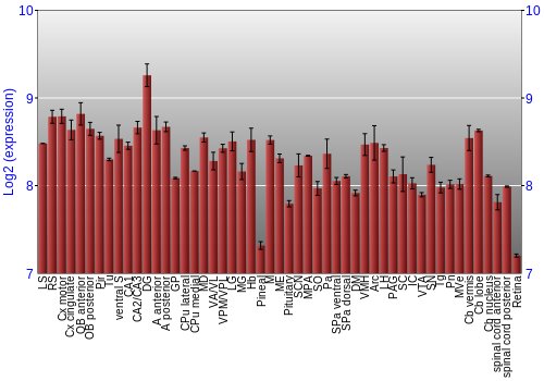 Expression graph