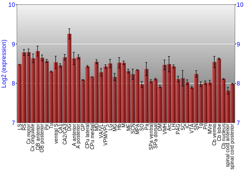 Multi-state expression graph