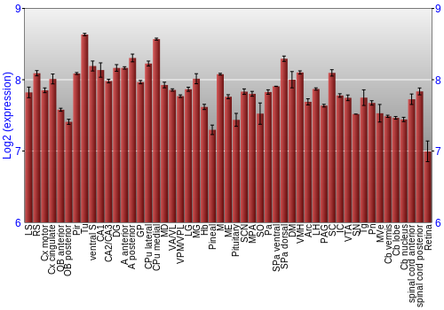 Expression graph