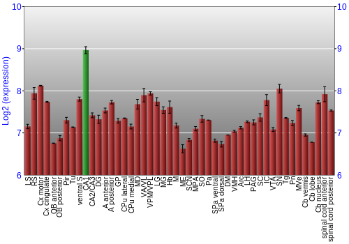 Multi-state expression graph