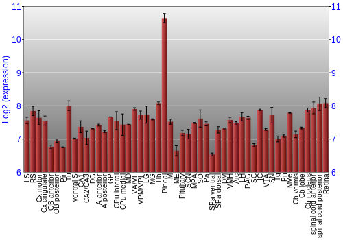 Expression graph