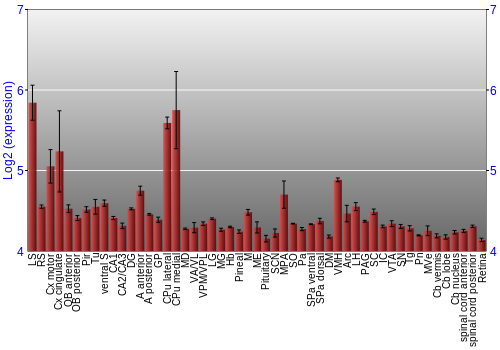 Expression graph