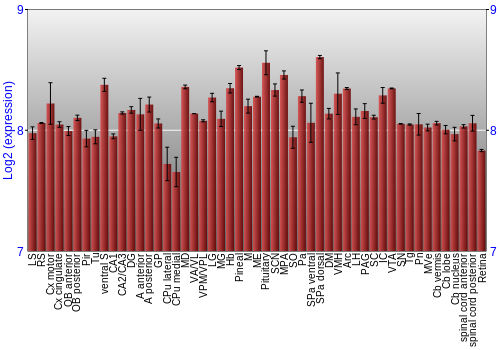 Expression graph