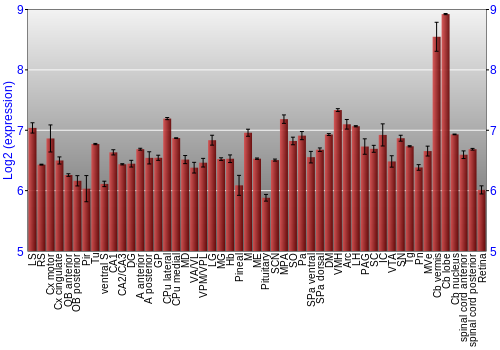 Expression graph