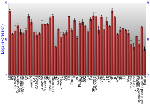 Expression graph