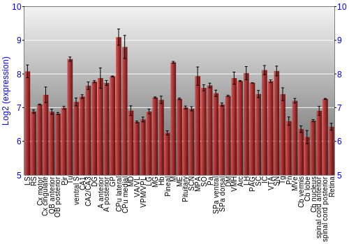 Expression graph