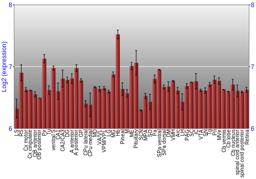 Expression graph