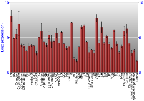 Expression graph