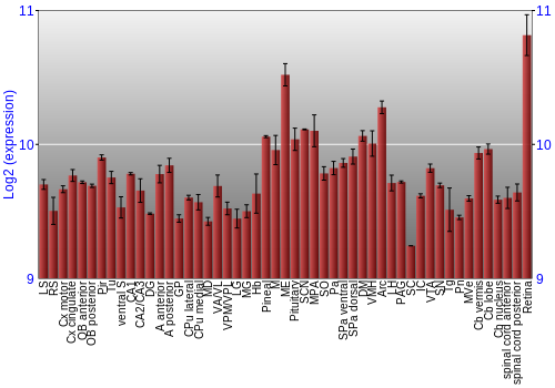 Expression graph