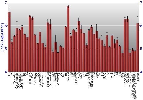 Expression graph