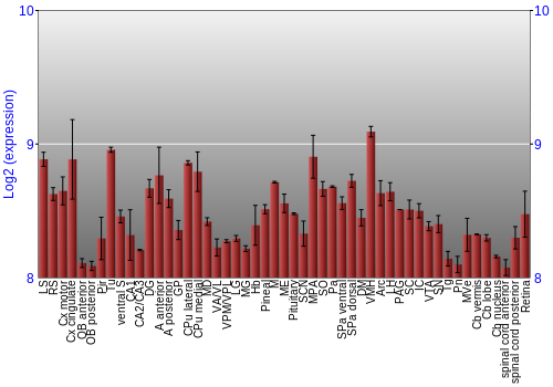 Expression graph