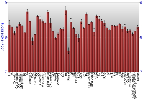 Expression graph