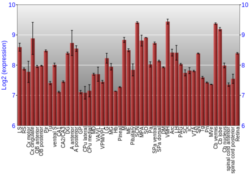 Expression graph