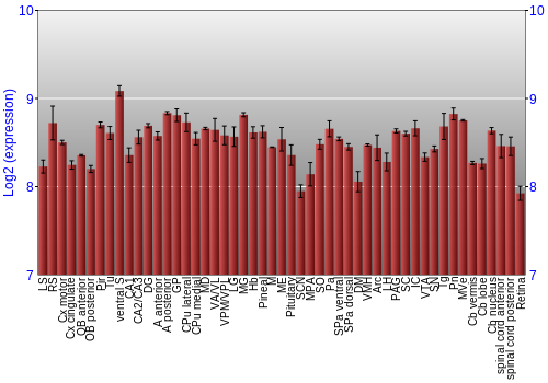 Expression graph