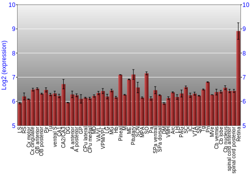 Expression graph