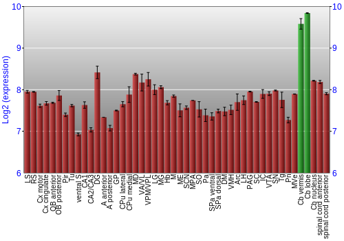 Multi-state expression graph