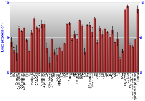 Expression graph