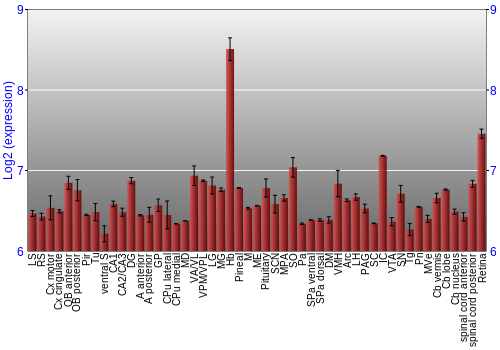 Expression graph