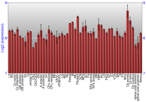 Expression graph