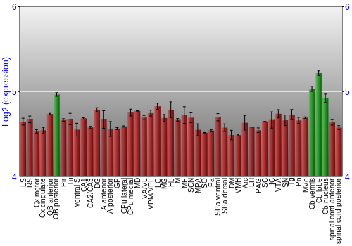 Multi-state expression graph
