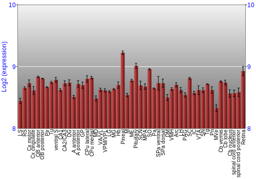 Expression graph