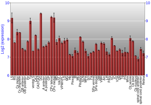 Expression graph