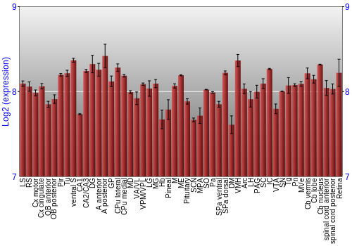 Expression graph