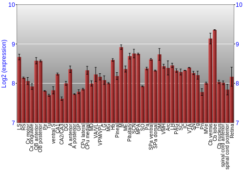 Expression graph