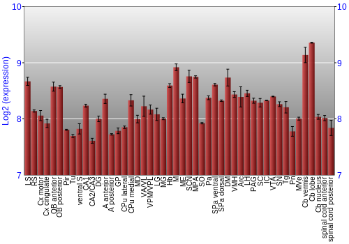 Multi-state expression graph