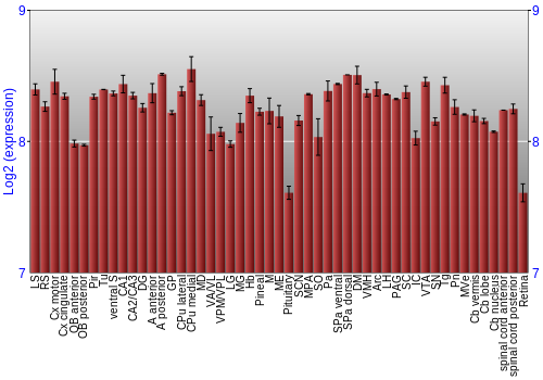 Expression graph