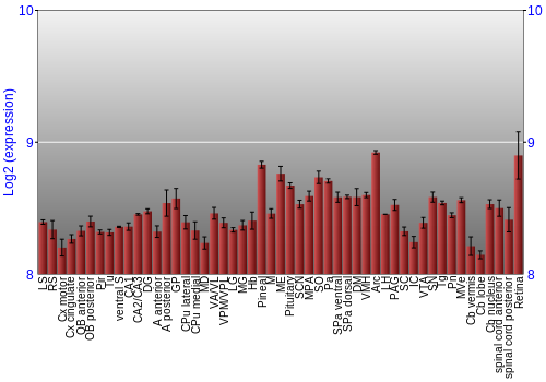 Expression graph