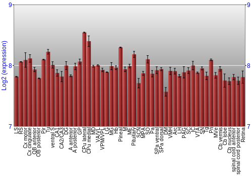 Expression graph