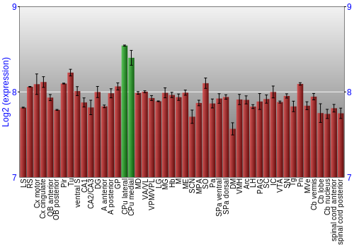 Multi-state expression graph