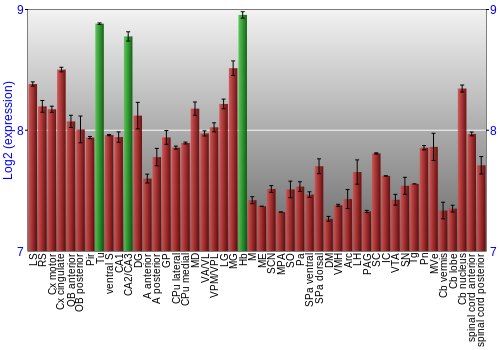 Multi-state expression graph