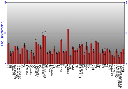 Expression graph