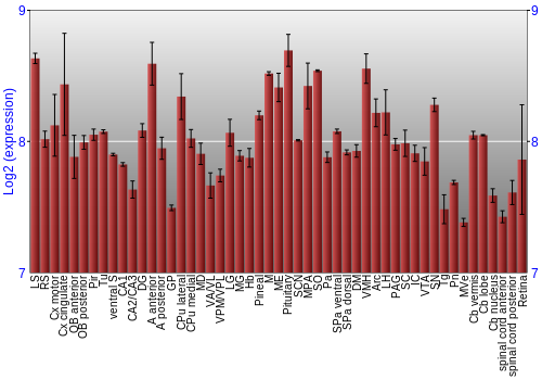 Expression graph