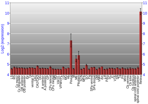 Expression graph