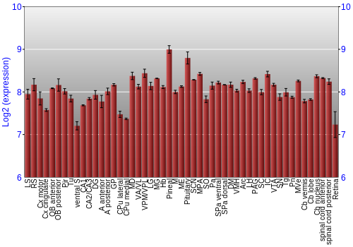 Expression graph