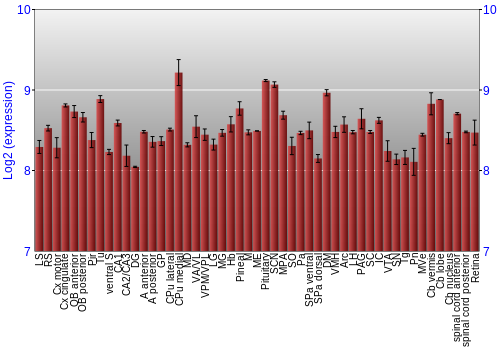 Expression graph