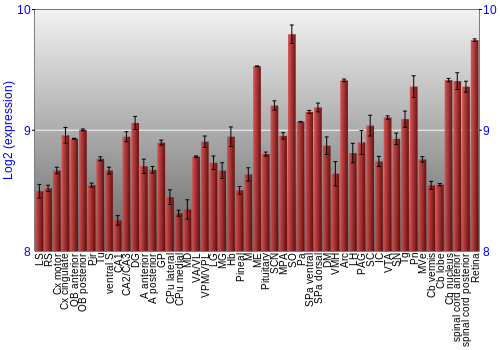 Expression graph