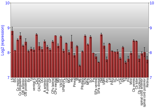 Expression graph