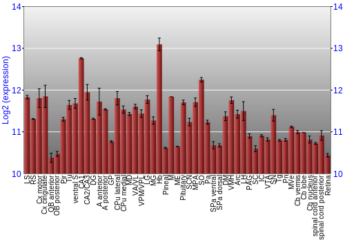 Expression graph