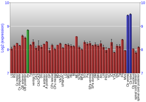 Multi-state expression graph