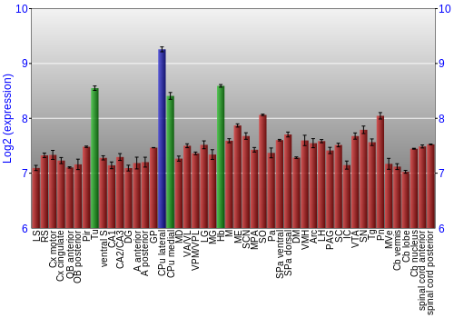 Multi-state expression graph