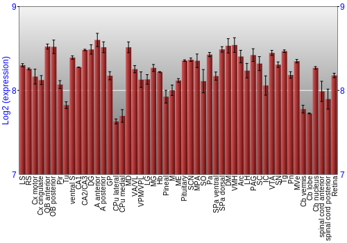 Expression graph