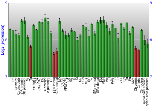Multi-state expression graph