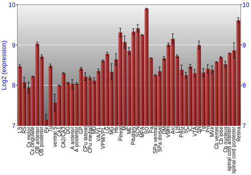 Expression graph