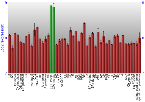Multi-state expression graph